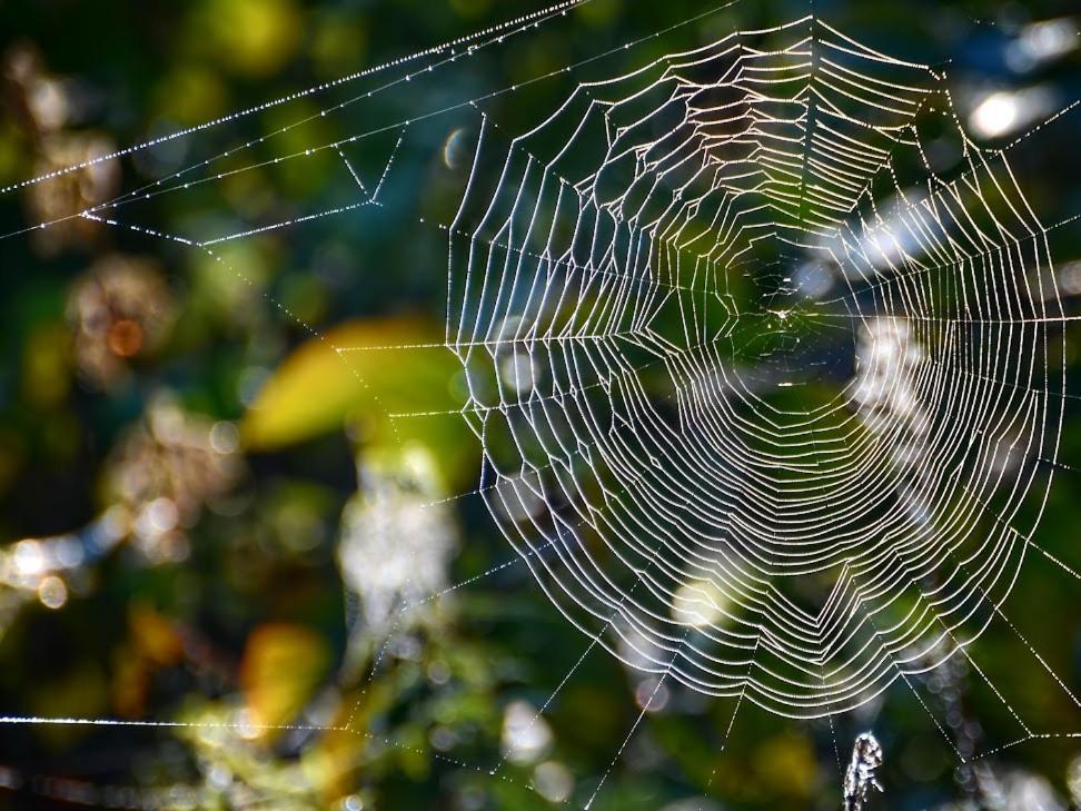Ferienwohnung Gawra Gustawa Ustrzyki Dolne Exterior foto